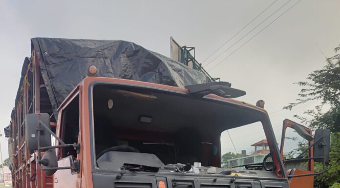 १६ बैलांची अवैध वाहतूकीवर पोलिसांची कारवाई