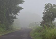 कणकवली तालुक्यात सकाळीच धुक्याची दाट चादर!