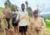 भात शेती करपली… बळीराजाचे बाप्पाला साकडे