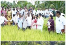 जनतेच्या संकटात धावून जाणारे नेतृत्त्व!