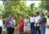 मुख्य अभियंता प्रशांत भामरे यांनी कोर्ले-सातंडी धरणावरील ११० कोटींच्या पाणी योजनेची पाहणी केली