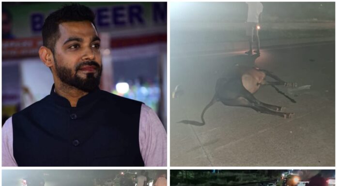 लोटे येथे महामार्गावरील मोकाट गुराला धडकून दुचाकीस्वाराचा मृत्यू; खेडच्या नईम बशीर चौगुले यांचा दुर्दैवी अंत