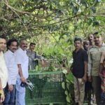 सातार्डा भटवाडी येथे वनविभागाने बिबट्याला पकडण्यासाठी रचला सापळा