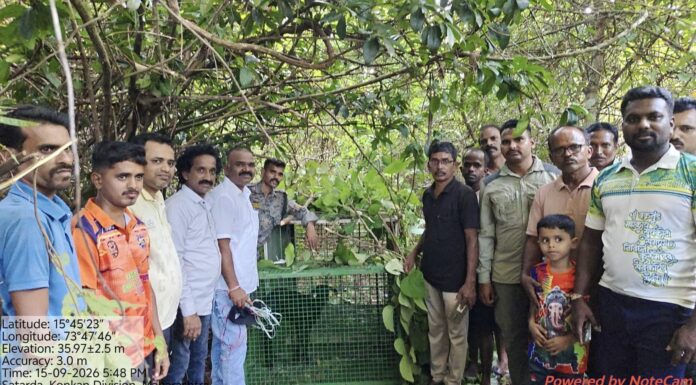 सातार्डा भटवाडी येथे वनविभागाने बिबट्याला पकडण्यासाठी रचला सापळा