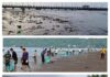 आंतरराष्ट्रीय सागरी किनारा स्वच्छता दिवसानिमित्त रत्नागिरी मांडवी किनाऱ्यावर स्वच्छता अभियान