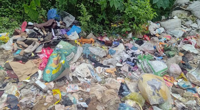 खेर्डी एमआयडीसीतील कचऱ्याच्या साम्राज्यावर ग्रामपंचायतीने ठोस निर्णय घ्यावा- अशोक पवार