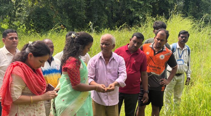 जिल्ह्यात कमी पावसामुळे शेतीचे नुकसान झालेल्या भागात जिल्हाधिकारी तृप्ती धोडमिसे यांची पाहणी