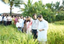 पाण्याचे सुयोग्य नियोजन करण्याची सवय आत्मसात करूया – पालकमंत्री नितेश राणे
