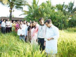पाण्याचे सुयोग्य नियोजन करण्याची सवय आत्मसात करूया – पालकमंत्री नितेश राणे