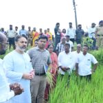 “आम्ही शेतकऱ्यांसोबतच !” : आमदार निलेश राणे