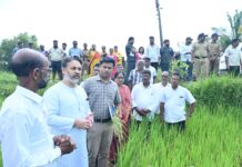 “आम्ही शेतकऱ्यांसोबतच !” : आमदार निलेश राणे