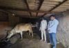 दुग्ध व्यवसायातून स्वावलंबनाची वाट; जतीन झोरे यांच्या व्यवसायास अभिजीत देवळेकरांची भेट