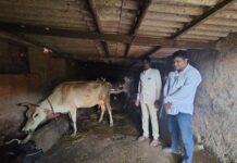 दुग्ध व्यवसायातून स्वावलंबनाची वाट; जतीन झोरे यांच्या व्यवसायास अभिजीत देवळेकरांची भेट