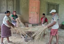 संगमेश्वर तालुक्यात हळव्या भात पिकाची कापणी सुरु