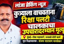 कुत्र्याला वाचवण्याच्या नादात रिक्षा पलटी, चालकाचा मृत्यू