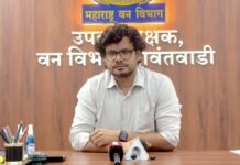 ‘ओंकार’ हत्तीवर मशाल फेकणाऱ्यांवर कडक कारवाई करणार