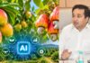 सिंधुदुर्ग जिल्ह्यात आंबा-काजू शेतीला मिळणार ‘AI’ची साथ!