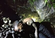 रेल्वेतून पडल्याने अज्ञात इसमाचा मृत्यू