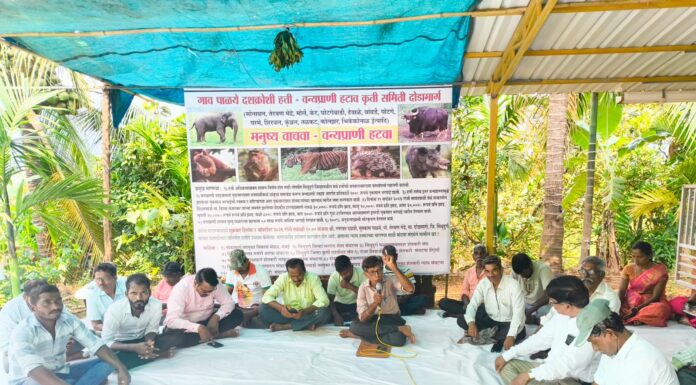 पाळये येथे हत्ती व वन्यप्राण्यांच्या त्रासाविरोधात आंदोलकांचे उपोषण मागे ; आमदार दीपक केसरकर यांची मध्यस्थी
