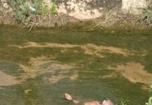 इन्सुलीत तिलारी कालव्यात वृद्धाचा गोधडीत गुंडाळलेला मृतदेह