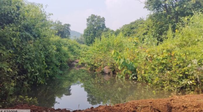 एका दिवसात करूळमध्ये सहा वनराई बंधारे