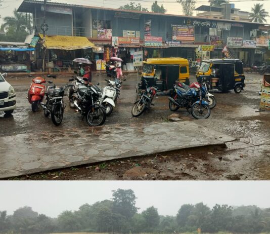 वैभववाडीत विजांच्या कडकडाटासह पावसाची हजेरी