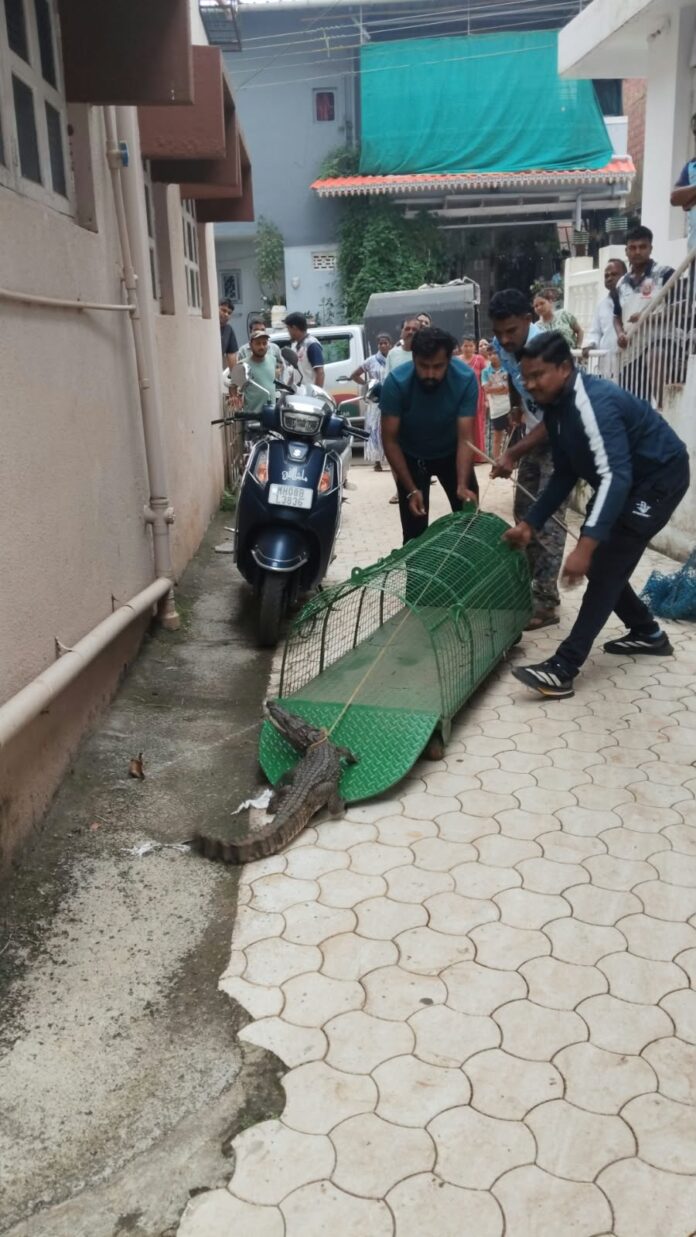 WhatsApp Image 2026-10-01 at 1.59.56 PM
