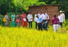 राजापुर तालुक्याचा दुष्काळग्रस्त तालुक्यांत समावेश: प्रशासनाकडून नियोजन हाती