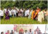 भाजपा पदाधिकारी शेतकऱ्यांच्या बांधावर!दुष्काळ स्थितीत सरकार शेतकरी व जनतेच्या पाठीशी