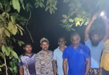 पडवे माजगाव येथे वाघाच्या हल्ल्यात गाय ठार