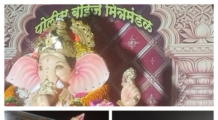 देवरूख पोलीस ठाण्याच्या देवरूखच्या राजाला भव्य पारंपारिक विसर्जन मिरवणुकीने भक्तीमय वातावरणात भावपूर्ण निरोप