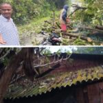 लोरे येथे सलग दुसऱ्या दिवशी चक्रीवादळाचा तडाखा : पाच घरांचे नुकसान