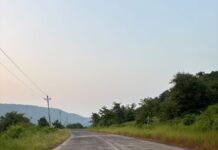 राष्ट्रीय महामार्गाच्या दुतर्फा वृक्षतोडीमुळे पर्यावरणाची हानी; सामाजिक कार्यकर्ते बिलाल म्हाळुंकर यांची लागवडीची मागणी