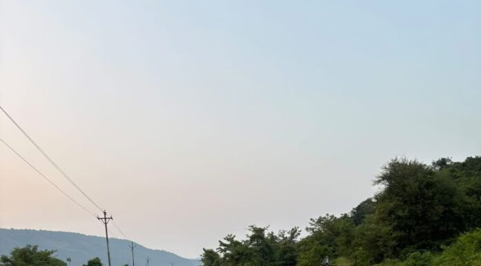 राष्ट्रीय महामार्गाच्या दुतर्फा वृक्षतोडीमुळे पर्यावरणाची हानी; सामाजिक कार्यकर्ते बिलाल म्हाळुंकर यांची लागवडीची मागणी