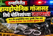 रत्नागिरीत हायड्रोपोनिक गांजासह तिघे पोलिसांच्या जाळ्यात ३४.५ ग्रॅम हायड्रोपोनिक गांजा, दुचाकी, रिक्षा असा ४ लाख २० हजार ७५० रुपयांचा मुद्देमाल जप्त