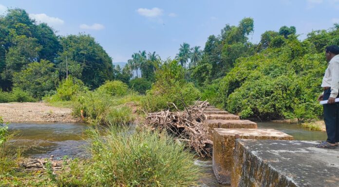 पाळये येथे पक्क्या बंधाऱ्याची दुरवस्था; प्रशासनाने दखल घेऊन पाण्याची साठवणूक करण्याची शेतकऱ्यांची मागणी