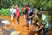 पाणीटंचाईच्या पार्श्वभूमीवर देवधे येथे बांधण्यात आला वनराई बंधारा