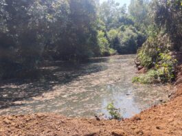 वाकी पूर्ववाडीचा जलसंधारणासाठी पुढाकार