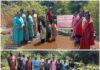 शिरंबवली गावात श्रमदानाने बांधण्यात आला बंधारा