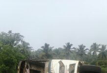 मच्छी वाहतूक करणारा ट्रक आंजणारी पुल येथे पलटी, मच्छीचे नुकसान