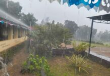 दोडामार्ग तालुक्यात वादळी वाऱ्यासह मुसळधार पाऊस