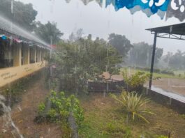 दोडामार्ग तालुक्यात वादळी वाऱ्यासह मुसळधार पाऊस
