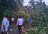 नगरपालिका कचरा डेपोलगत वादळी पावसामुळे मुख्य रस्त्यावर भलेमोठे झाड कोसळले