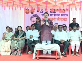 हळदीचे नेरुर गावच्या विकासासाठी कटिबद्ध : आमदार निलेश राणे