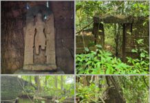 रानवेलींच्या कुशीत विसावलेला चालुक्यकालीन इतिहास; संगमेश्वरमधील धामापुरात भग्नावस्थेतील राजवाडा अन् मंदिराचे अवशेष